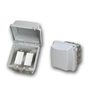 Accessory - Dual Duplex Switch Flush Mount and Gang Box 20 Amp Per Pole